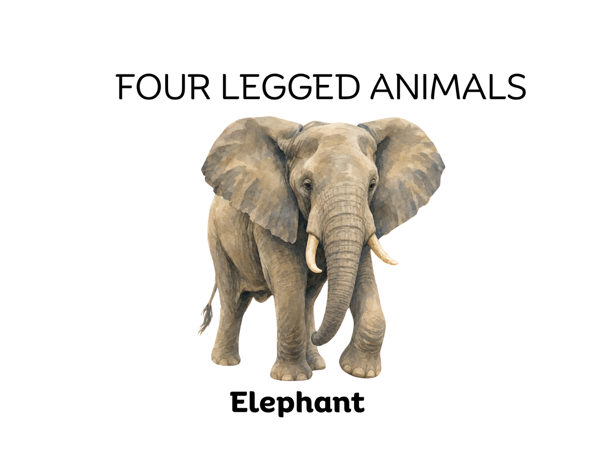 Four-Legged and Two-Legged Animals Sorting Flashcards | Montessori Early Learning Printable