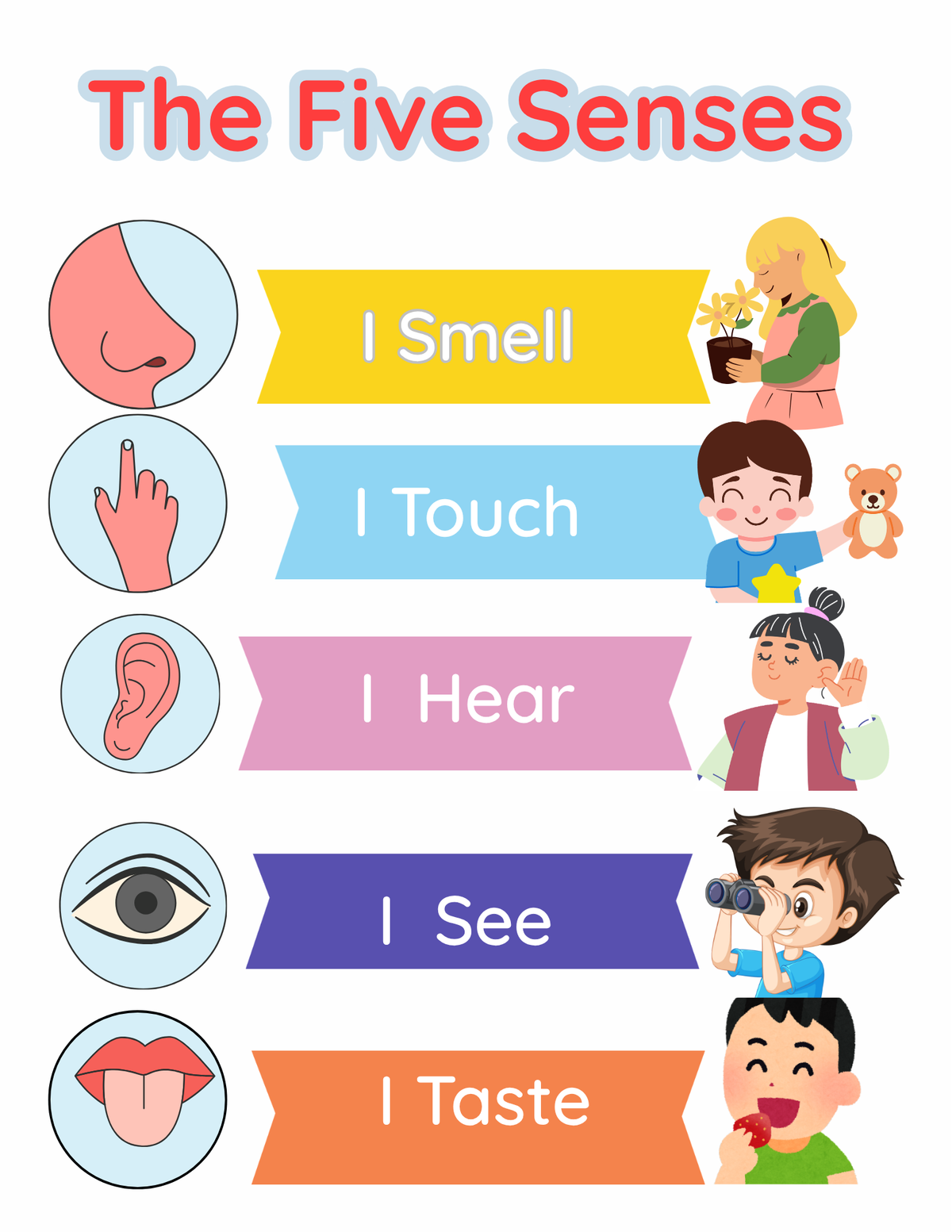 Interactive "The Five Senses" Educational Chart for Kids