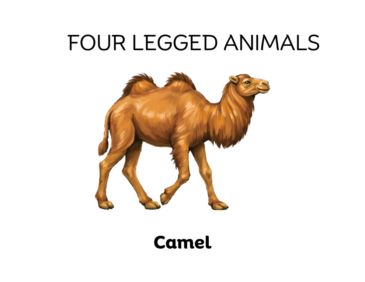 Four-Legged and Two-Legged Animals Sorting Flashcards | Montessori Early Learning Printable
