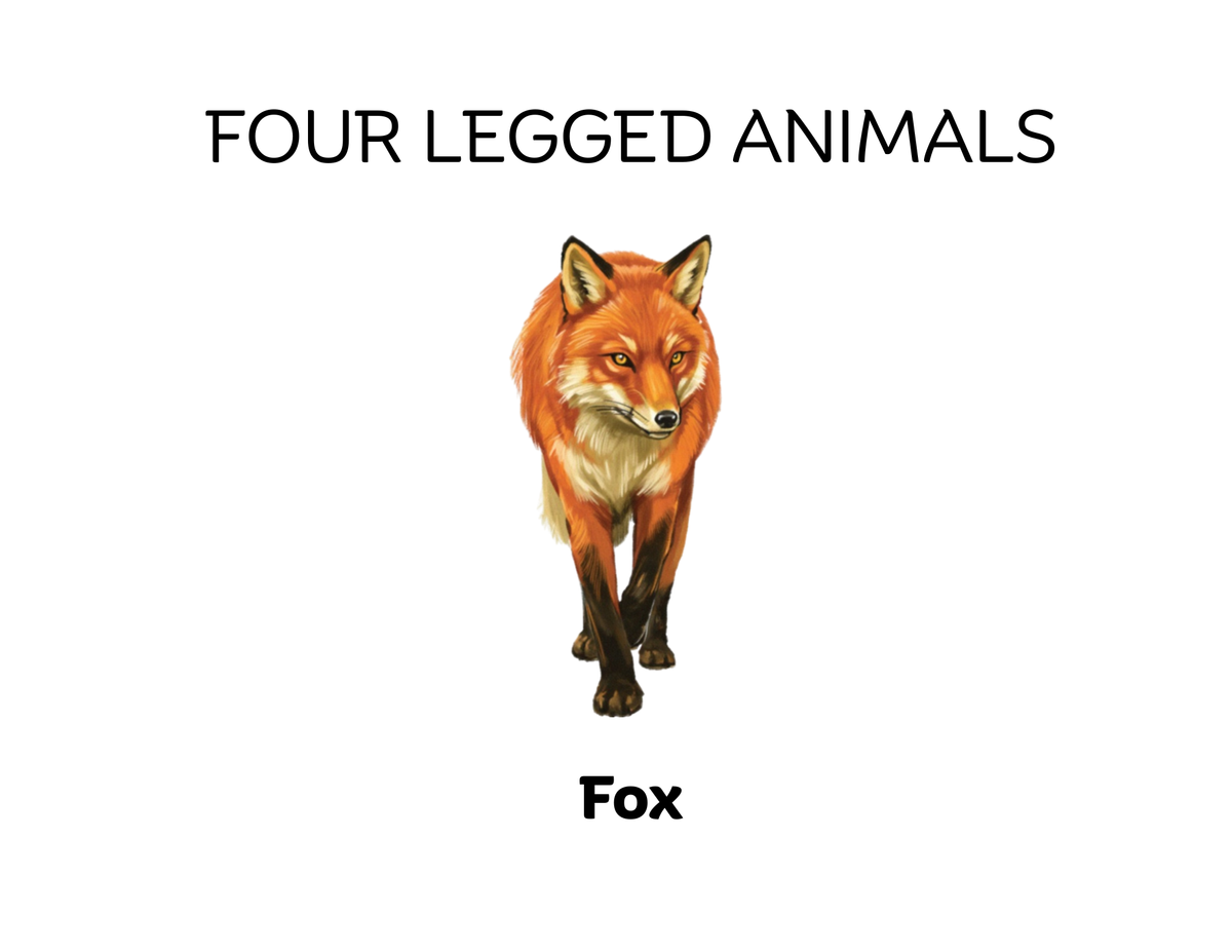 Four-Legged and Two-Legged Animals Sorting Flashcards | Montessori Early Learning Printable