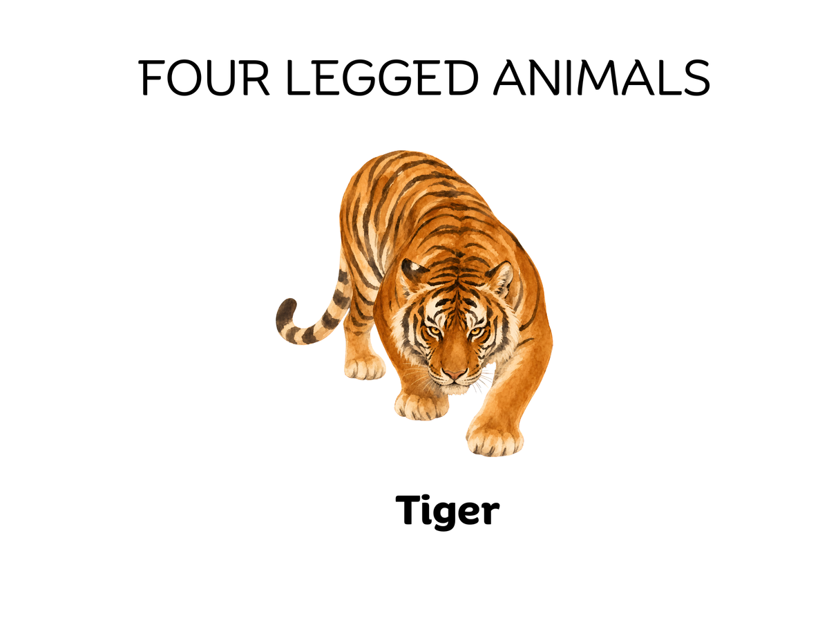 Four-Legged and Two-Legged Animals Sorting Flashcards | Montessori Early Learning Printable