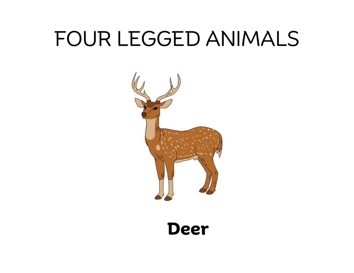 Four-Legged and Two-Legged Animals Sorting Flashcards | Montessori Early Learning Printable