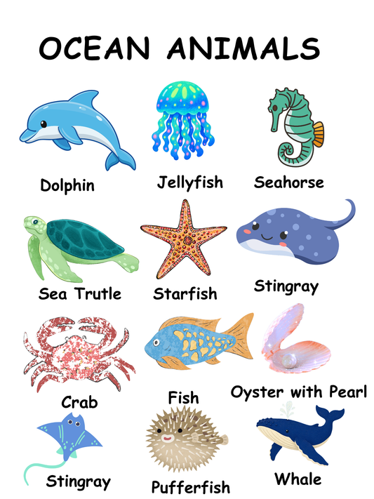Ocean Animals A4 Poster & Flashcards Set | Printable Montessori Learning Cards