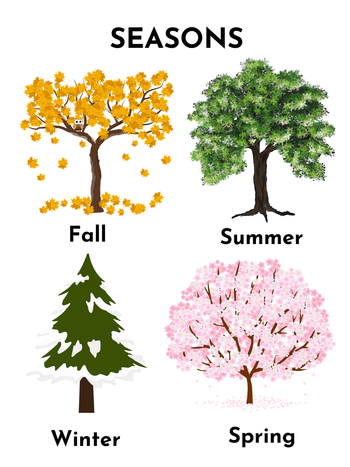 Printable Four Seasons Tree Flashcards & Worksheet Set – Montessori Nature & Weather Learning (Digital Download)