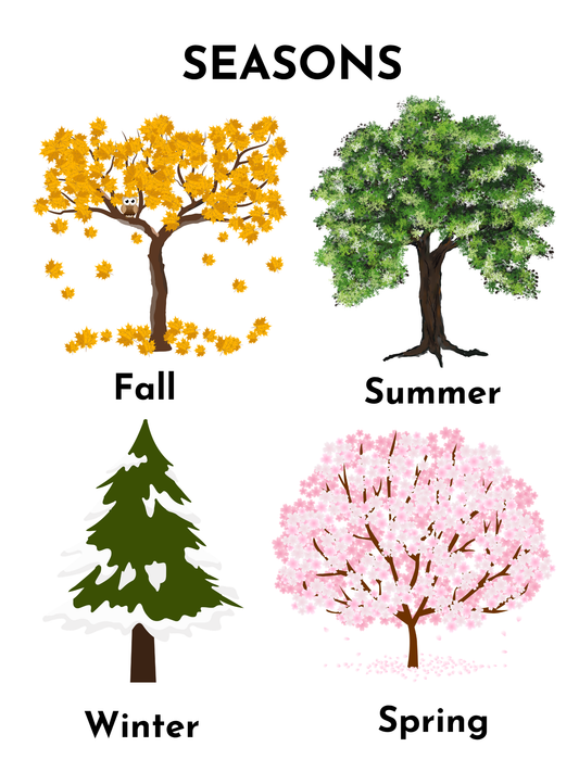 Printable Four Seasons Tree Flashcards & Worksheet Set – Montessori Nature & Weather Learning (Digital Download)