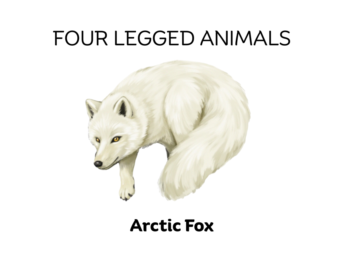 Four-Legged and Two-Legged Animals Sorting Flashcards | Montessori Early Learning Printable