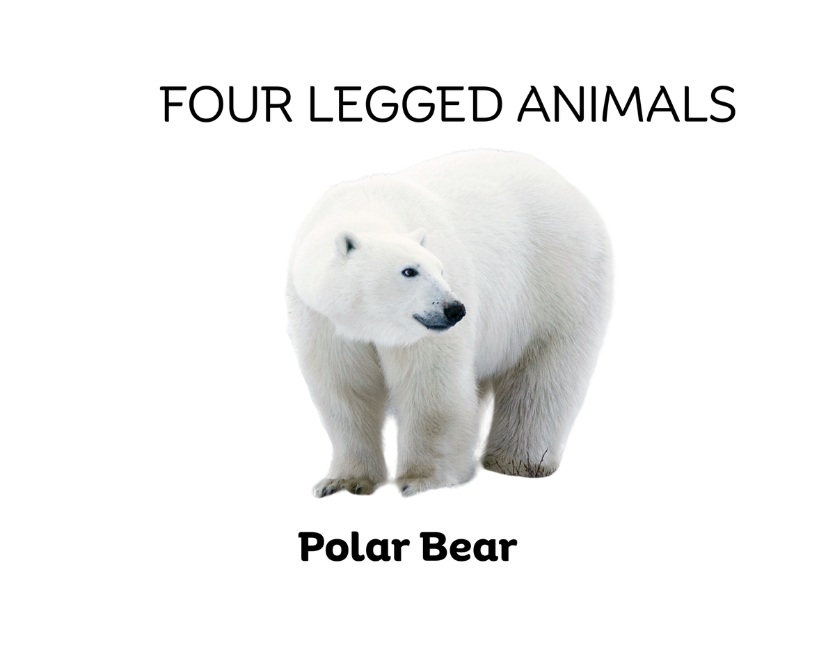 Four-Legged and Two-Legged Animals Sorting Flashcards | Montessori Early Learning Printable