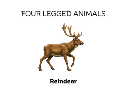 Four-Legged and Two-Legged Animals Sorting Flashcards | Montessori Early Learning Printable