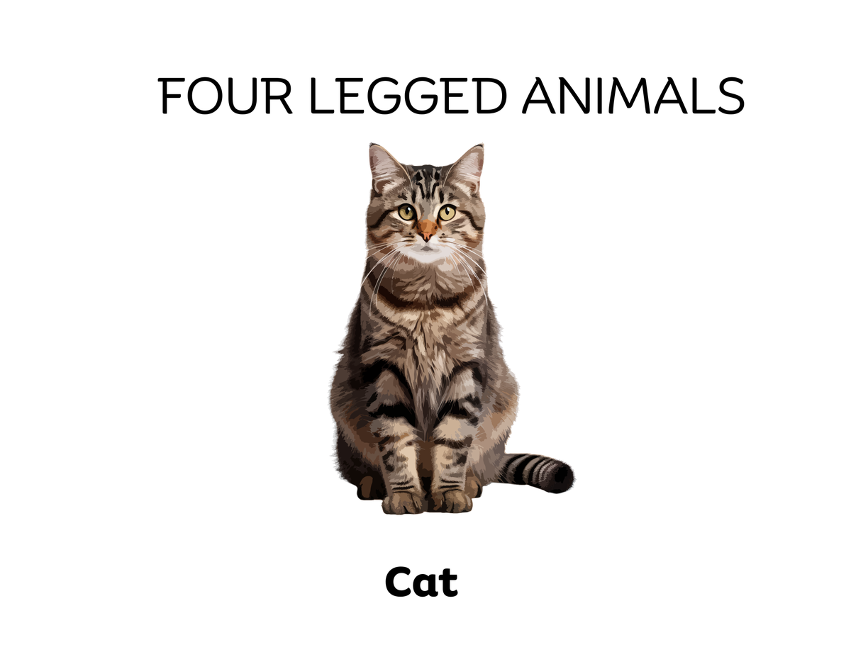Four-Legged and Two-Legged Animals Sorting Flashcards | Montessori Early Learning Printable