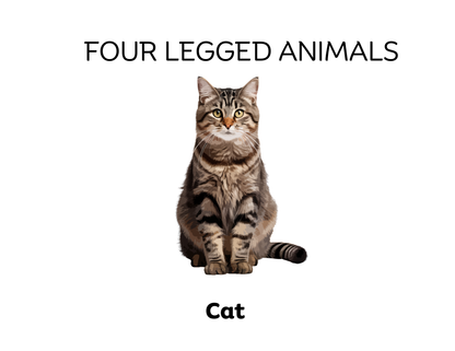 Four-Legged and Two-Legged Animals Sorting Flashcards | Montessori Early Learning Printable