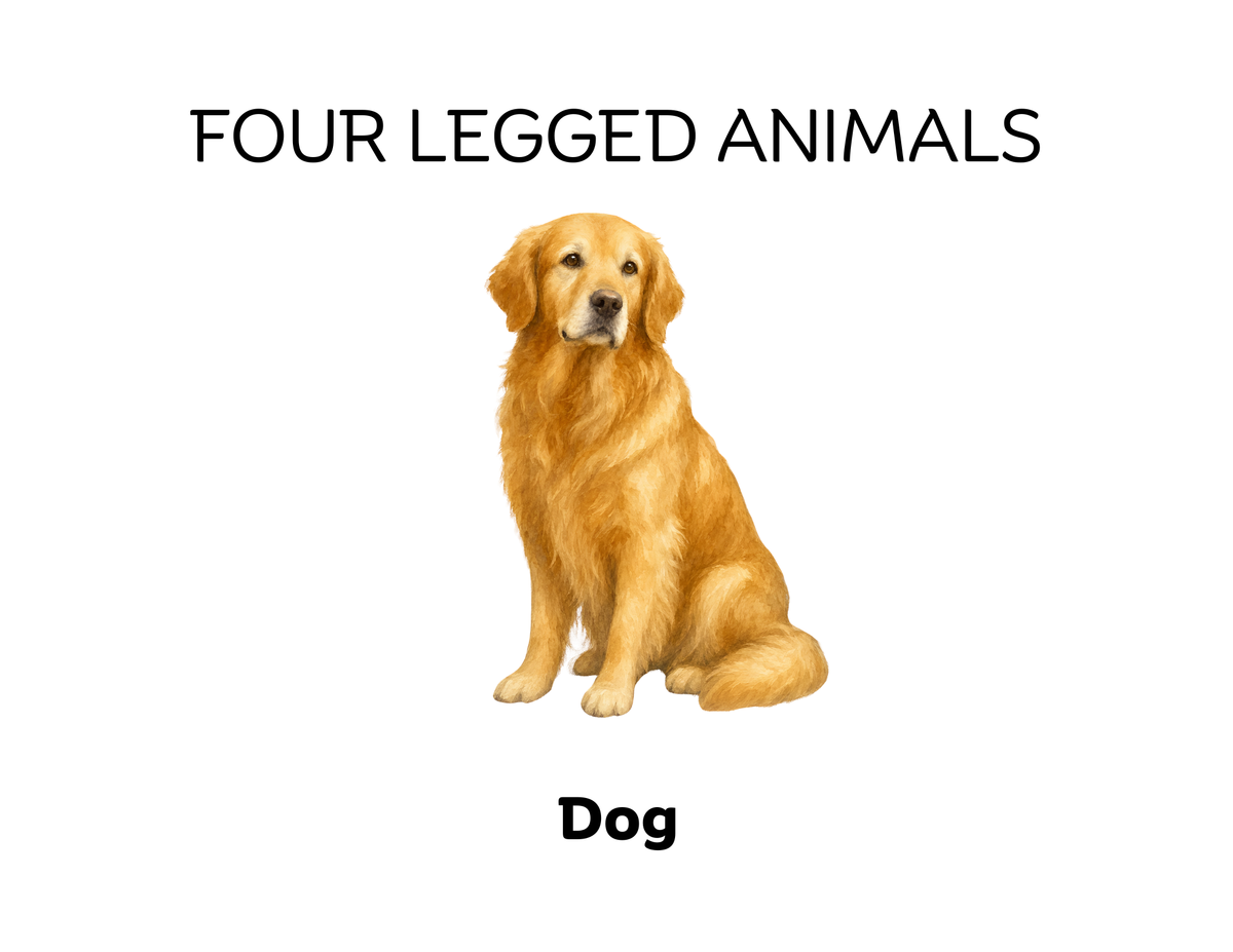 Four-Legged and Two-Legged Animals Sorting Flashcards | Montessori Early Learning Printable