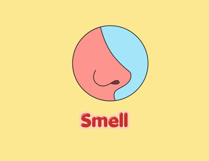 Hello, Senses! Toddler Sensory Book | Montessori Printable Quiet Book
