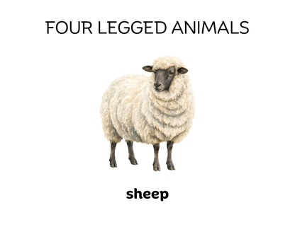 Four-Legged and Two-Legged Animals Sorting Flashcards | Montessori Early Learning Printable
