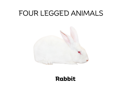 Four-Legged and Two-Legged Animals Sorting Flashcards | Montessori Early Learning Printable