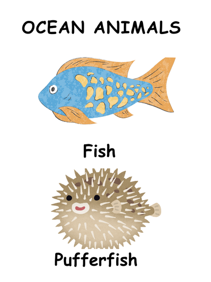 Ocean Animals A4 Poster & Flashcards Set | Printable Montessori Learning Cards