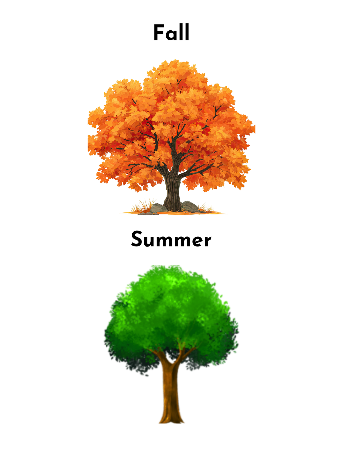 Printable Four Seasons Tree Flashcards & Worksheet Set – Montessori Nature & Weather Learning (Digital Download)