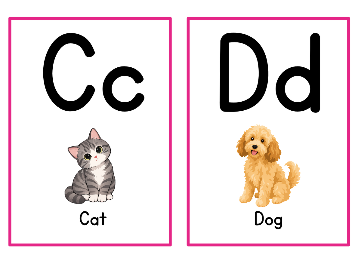Alphabet Learning Flashcards
