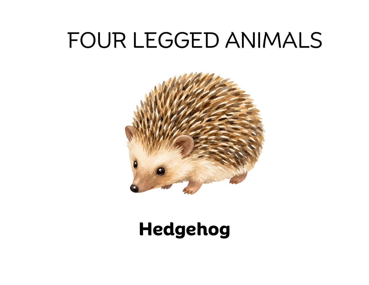 Four-Legged and Two-Legged Animals Sorting Flashcards | Montessori Early Learning Printable