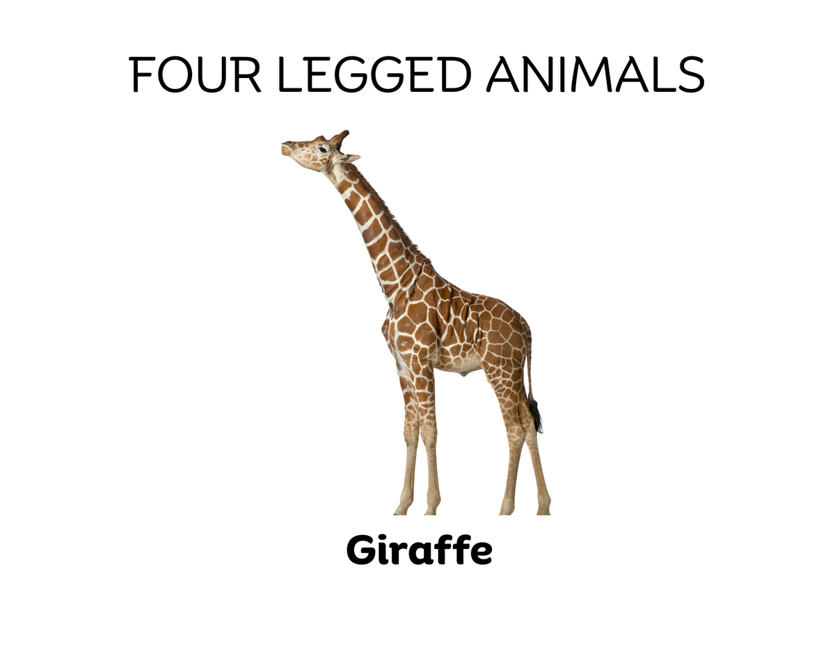 Four-Legged and Two-Legged Animals Sorting Flashcards | Montessori Early Learning Printable
