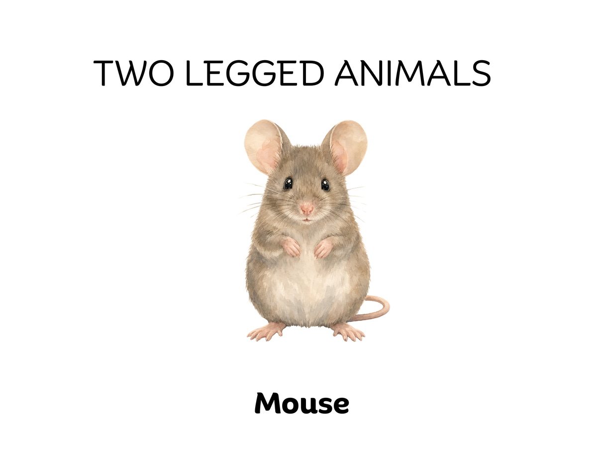 Four-Legged and Two-Legged Animals Sorting Flashcards | Montessori Early Learning Printable