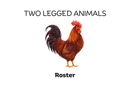 Four-Legged and Two-Legged Animals Sorting Flashcards | Montessori Early Learning Printable