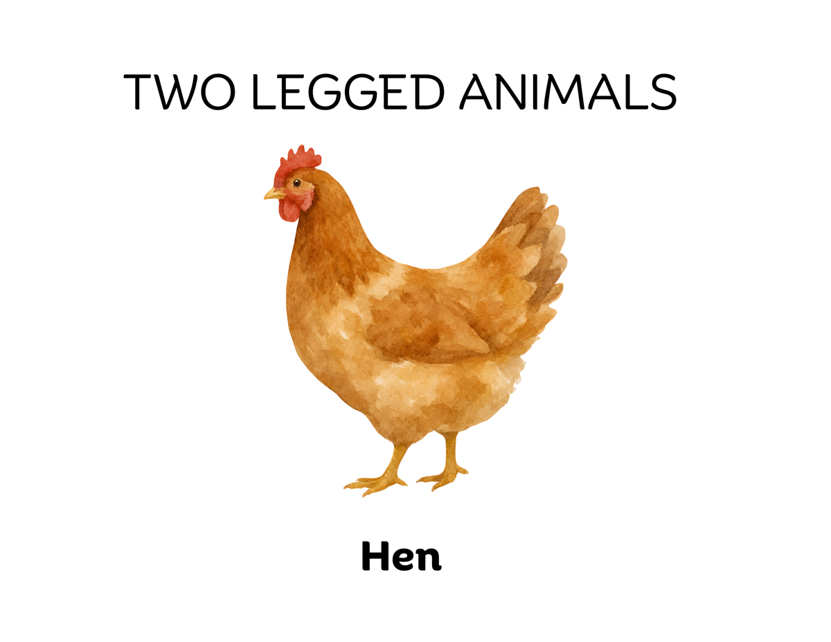 Four-Legged and Two-Legged Animals Sorting Flashcards | Montessori Early Learning Printable