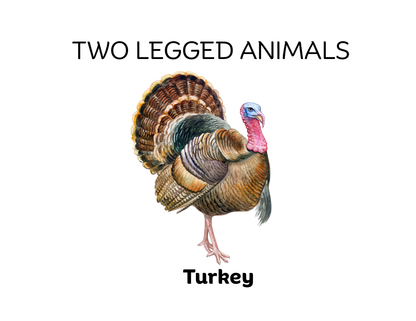 Four-Legged and Two-Legged Animals Sorting Flashcards | Montessori Early Learning Printable