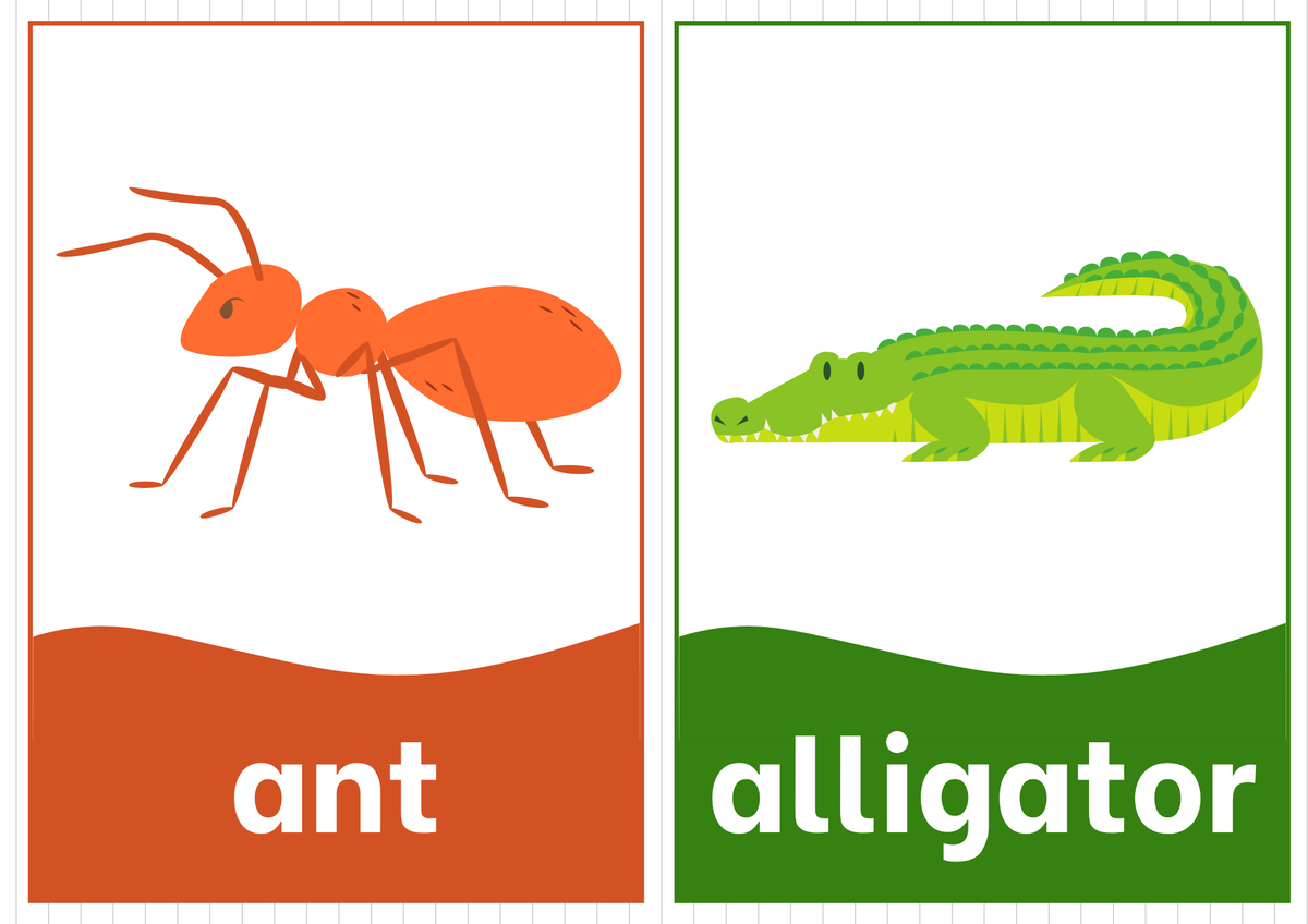 Montessori Phonics & Vocabulary Flashcards Set | Printable Alphabet & Object Cards (Digital Download)