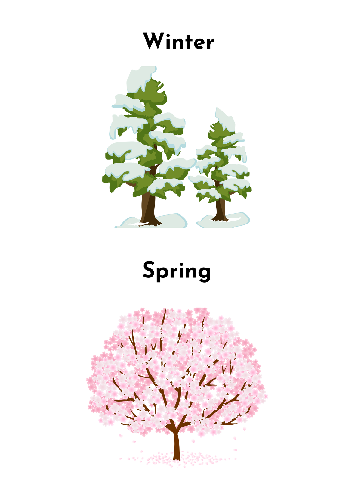 Printable Four Seasons Tree Flashcards & Worksheet Set – Montessori Nature & Weather Learning (Digital Download)