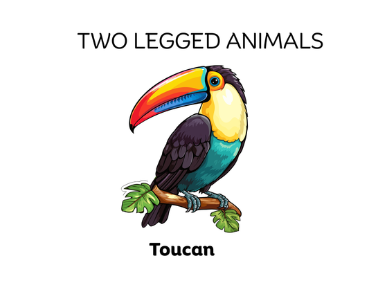 Four-Legged and Two-Legged Animals Sorting Flashcards | Montessori Early Learning Printable