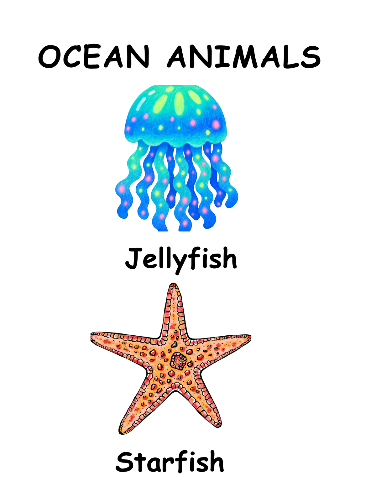 Ocean Animals A4 Poster & Flashcards Set | Printable Montessori Learning Cards
