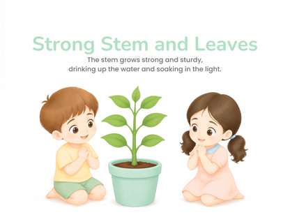 The Tiny Seed  Printable Montessori Storybook & Sequencing Activity Pages