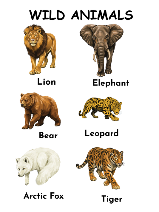 Wild Animals | Toddler Education Printable