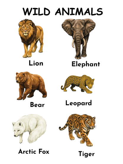 Wild Animals | Toddler Education Printable